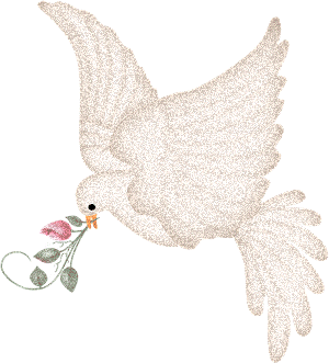 A origem da pomba branca como símbolo da PAZ - Sempre AlegriaSempre Alegria