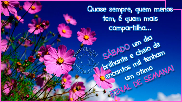 Bom-dia-82