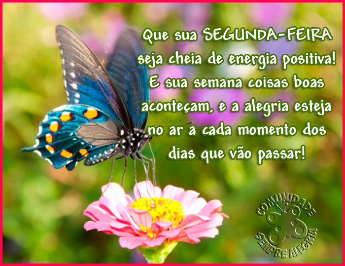 Bom-dia-134