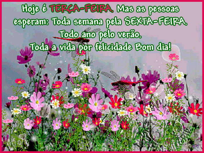 Bom-dia-135