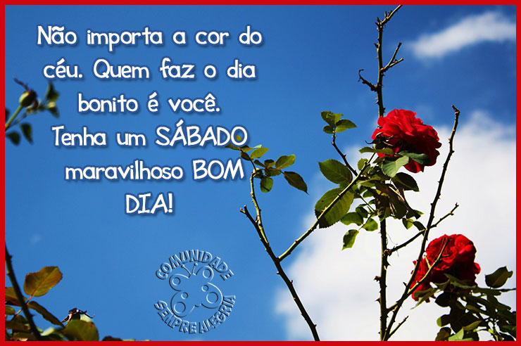 Bom-dia-147