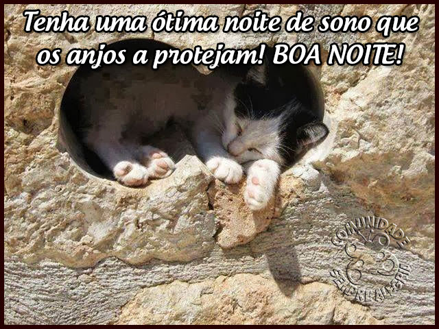 Boa-Noite-53