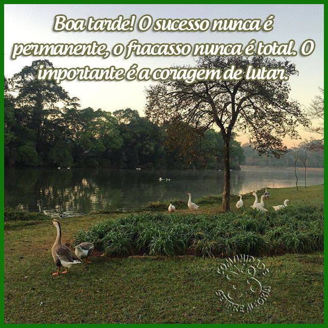 boa-tarde-59