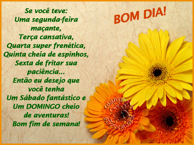bom-dia-192