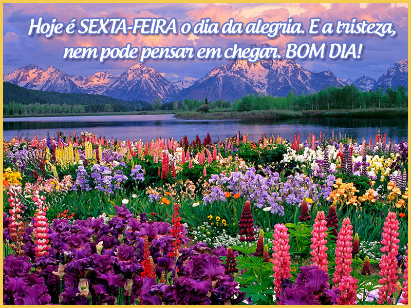 bom-dia-198