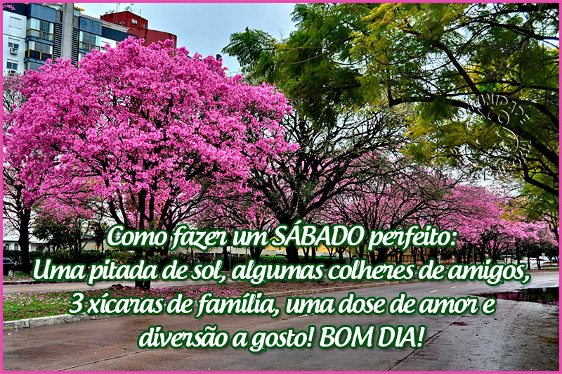 bom-dia-222