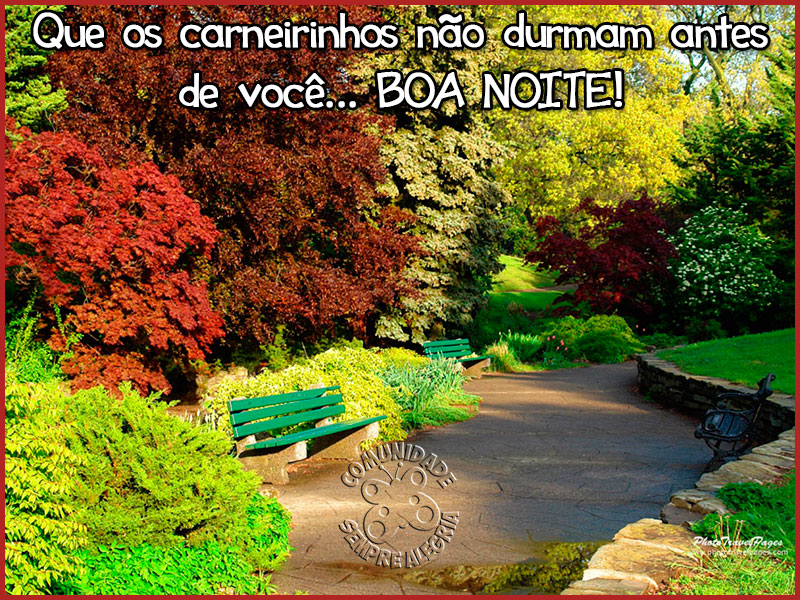 boa-noite-83