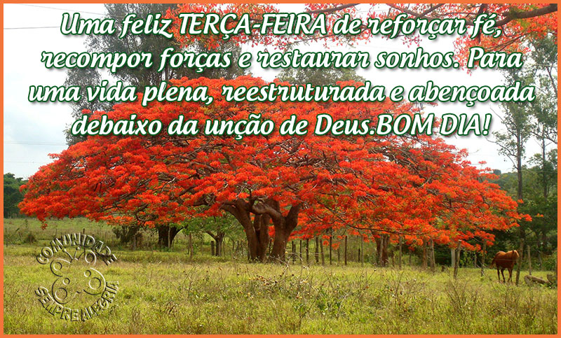 bom-dia-225
