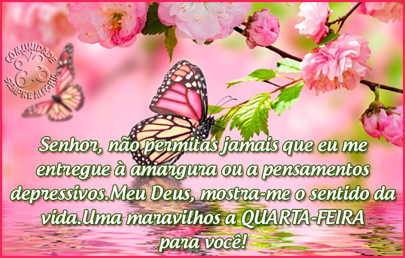 bom-dia-226