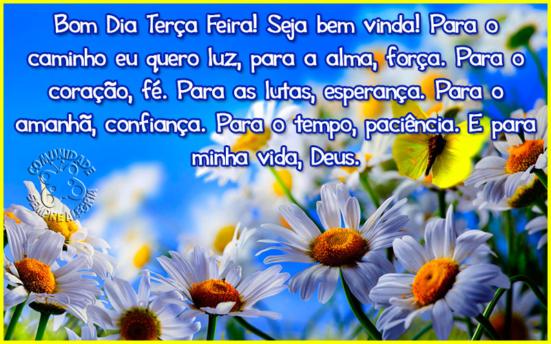 bom-dia-232
