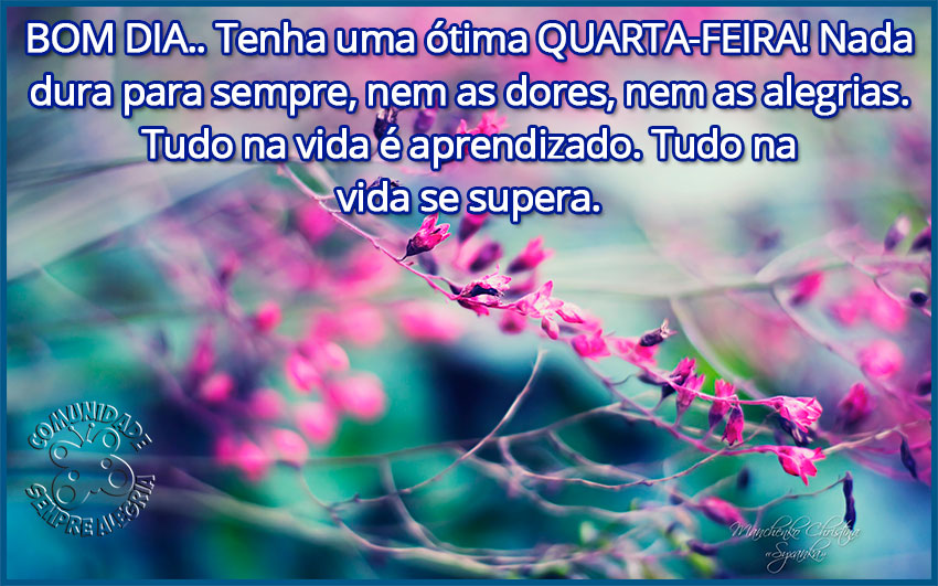 bom-dia-247