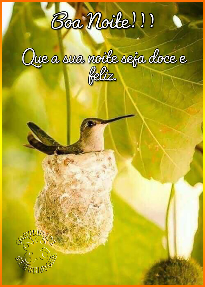BOA NOITE Sempre AlegriaSempre Alegria BOA NOITE Sempre AlegriaSempre Alegria