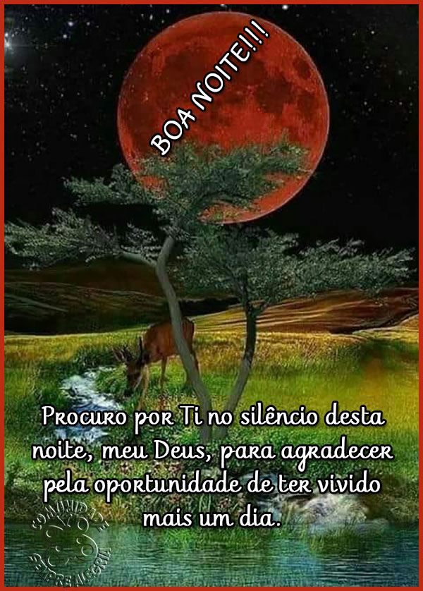 Boa Noite | Sempre Alegria